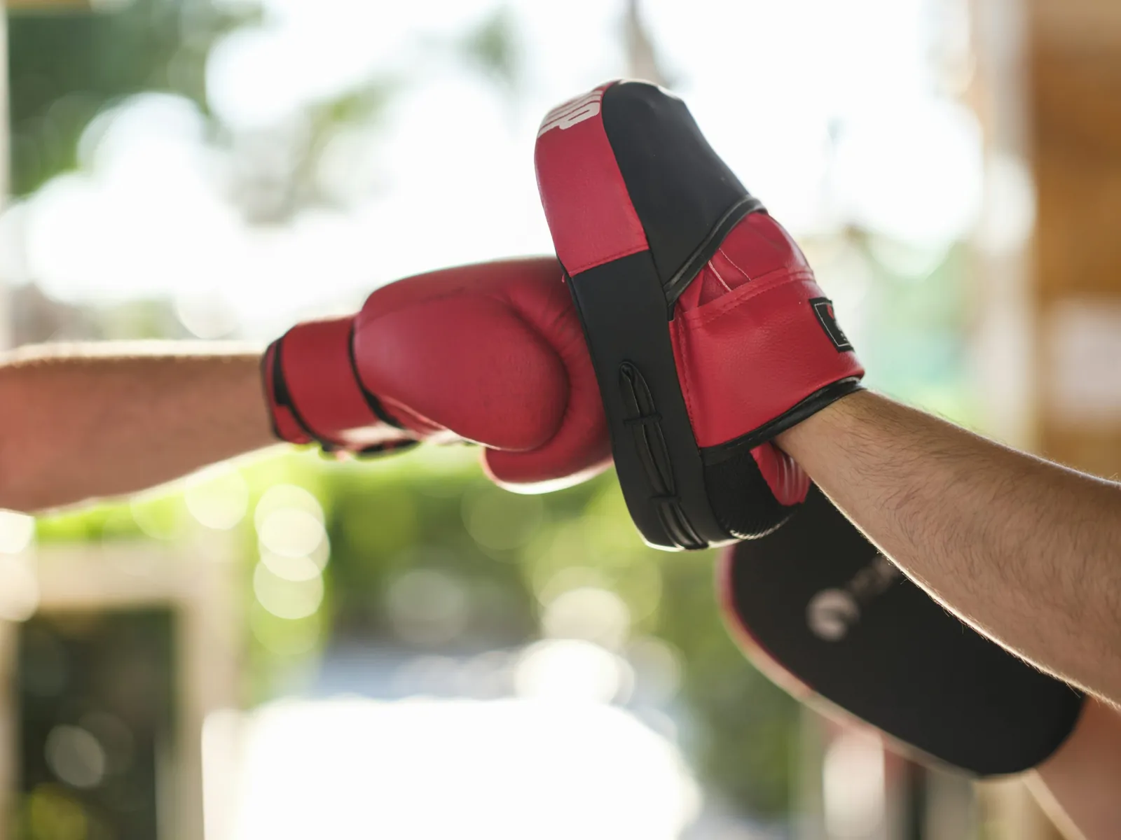 Illustrative UFC sports scene
